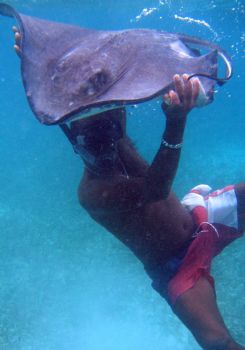 Stingray ride in belize by Gil Ben-Meir 
